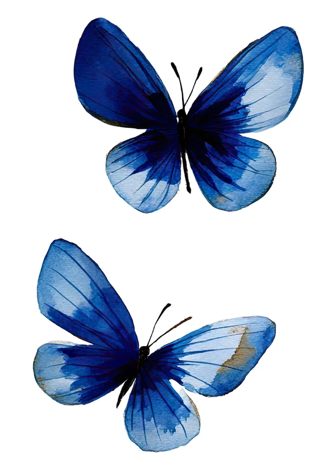 Borboleta Azul Para Imprimir para imprimir e colorir - imagem 3